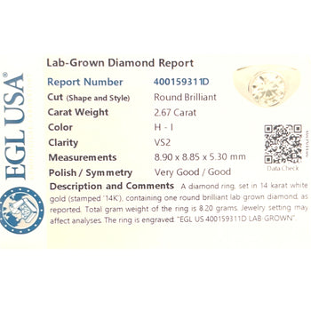 2.6 Carat Round Cut Lab Grown Diamond in 14K White Gold Bezel Set Mens Solitaire Ring – Assay Jewelers