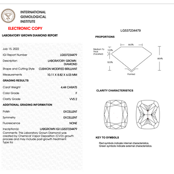 4.44 Carat F/VVS2 Cushion Cut Lab Grown Diamond in 3 Row Split Shank Diamond Halo Ring – Assay Jewelers